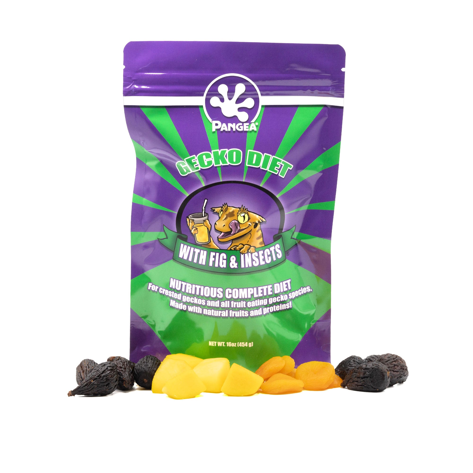Pangea Gecko Diet with Fig & Insects™